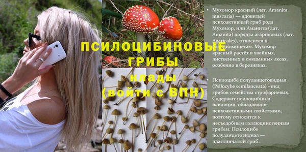 mdpv Абинск